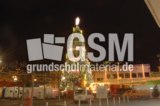 größter Weihnachtsbaum_2.jpg